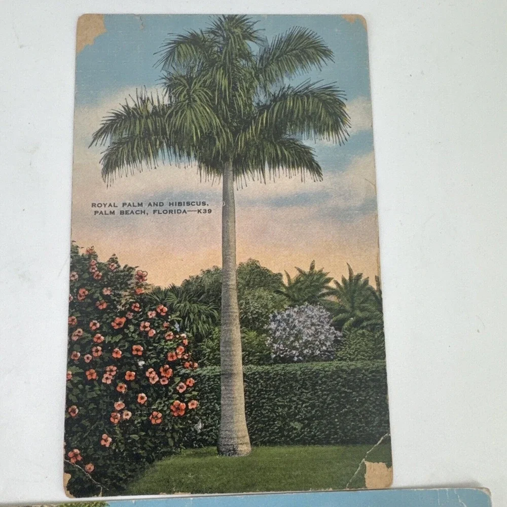 Postcard Lot of 3 Florida Landmarks & Tourism Stamped 1940s Vintage